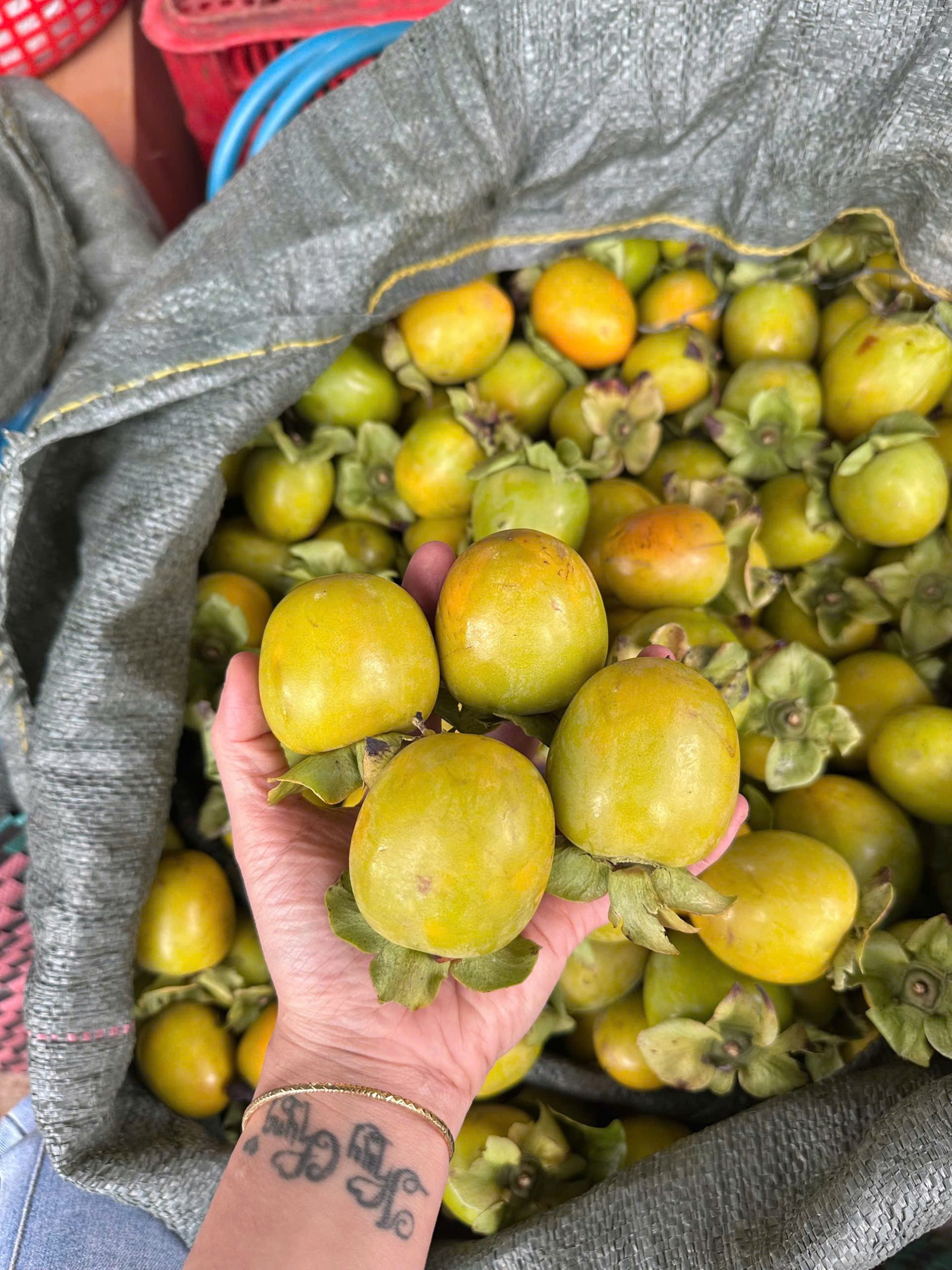 hồng giòn đà lạt đầu bằng không hạt