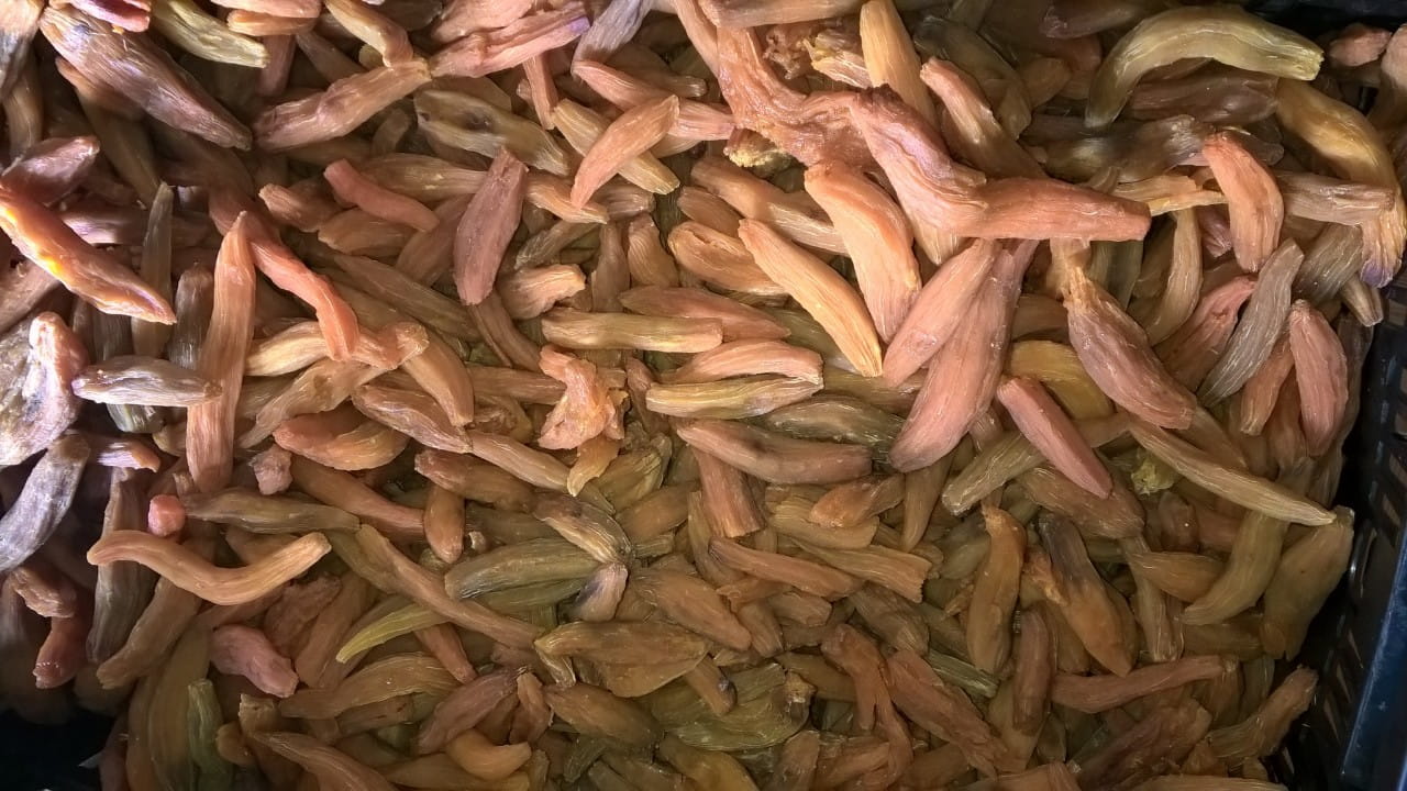khoai-mat-be-gia-si-tai-vuon