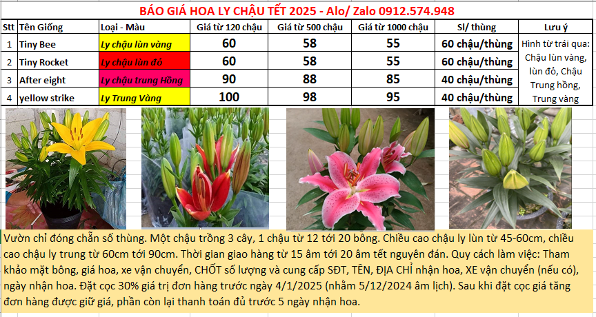 bao-gia-hoa-ly-chau-tet-2025