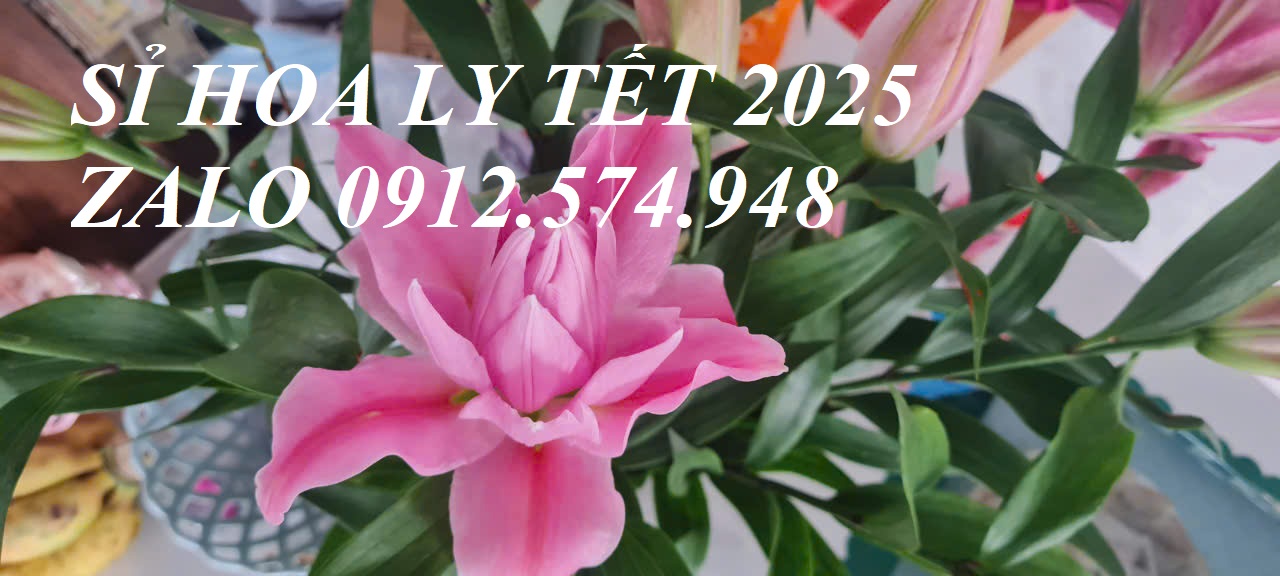 si- hoa -ly-tet-2025-tai-vuon