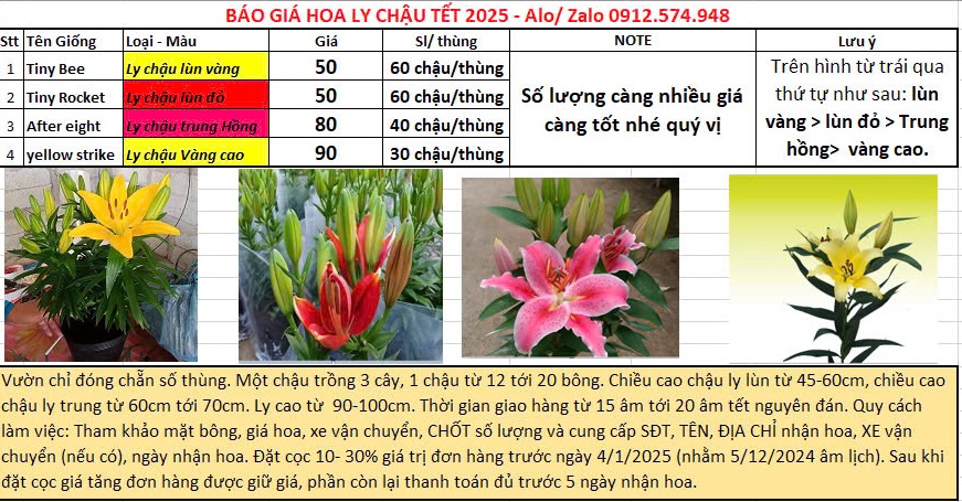 Hoa Ly Chậu Trung Đà Lạt Tết 2025: Giá Sỉ Tại Vườn