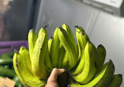 địa chỉ cung cấp chuối laba đà lạt ngon