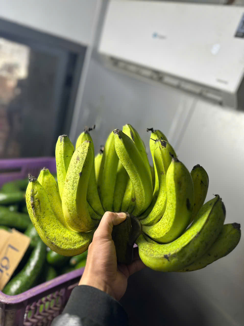 địa chỉ cung cấp chuối laba đà lạt ngon