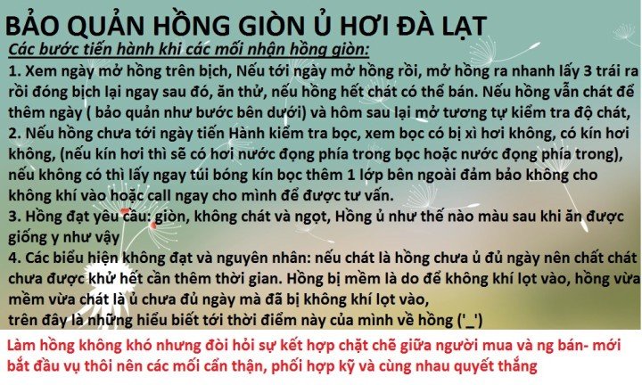 si-hong-gion-đà-lạt