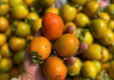 hồng giòn trứng lửa đặc sản Đà Lạt