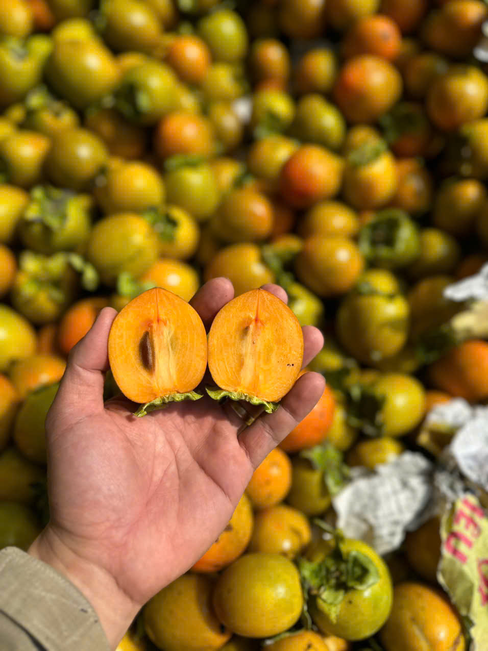 Hồng giòn trứng lửa bắt đầu có từ tháng 8 tới tháng 11 âm lịch