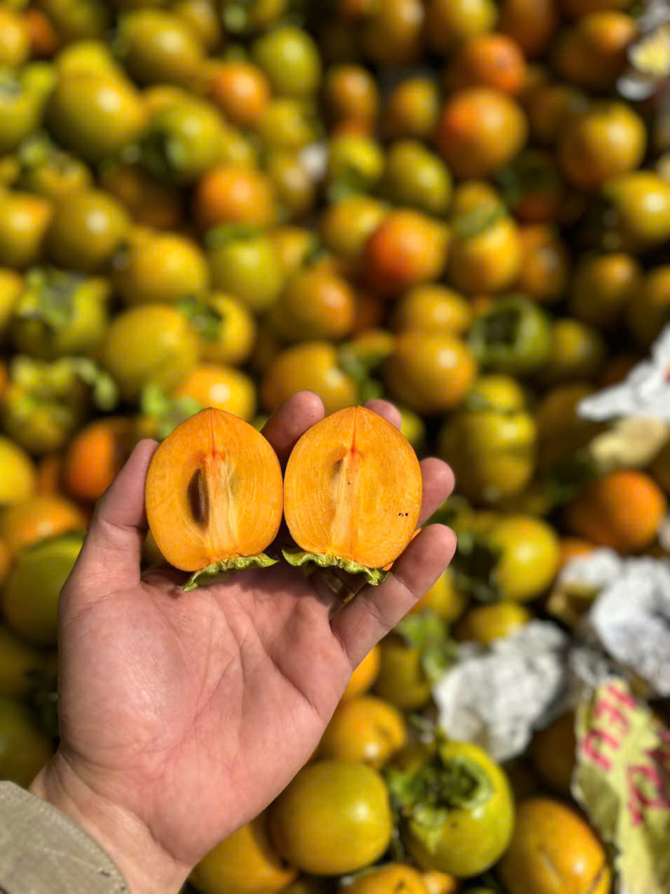 hồng giòn trứng lửa có ruột màu cam đều