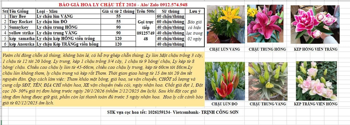 gia-si-hoa-ly-chau-tet-2026-tai-vuon