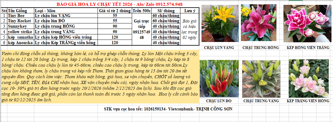 bao-gia-hoa-ly-chau-tet-gia-si