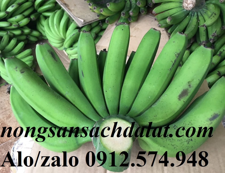 dia-chi-cung-cap-chuoi-laba-tai-vuon
