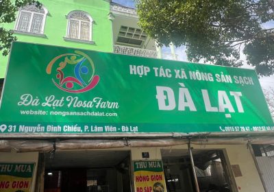 địa chỉ cung cấp sỉ Atiso đà lạt