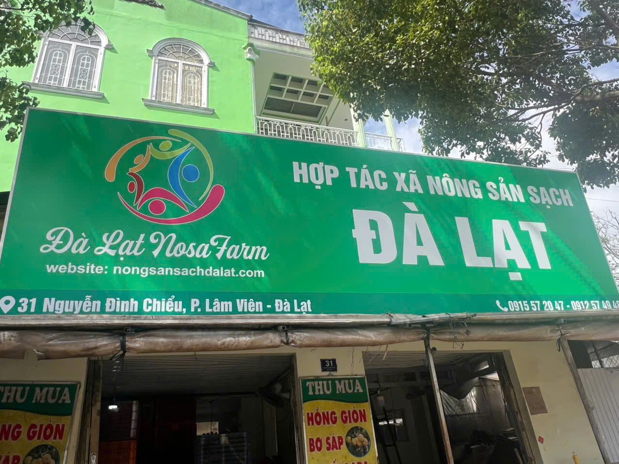 vựa hồng giòn đà lạt