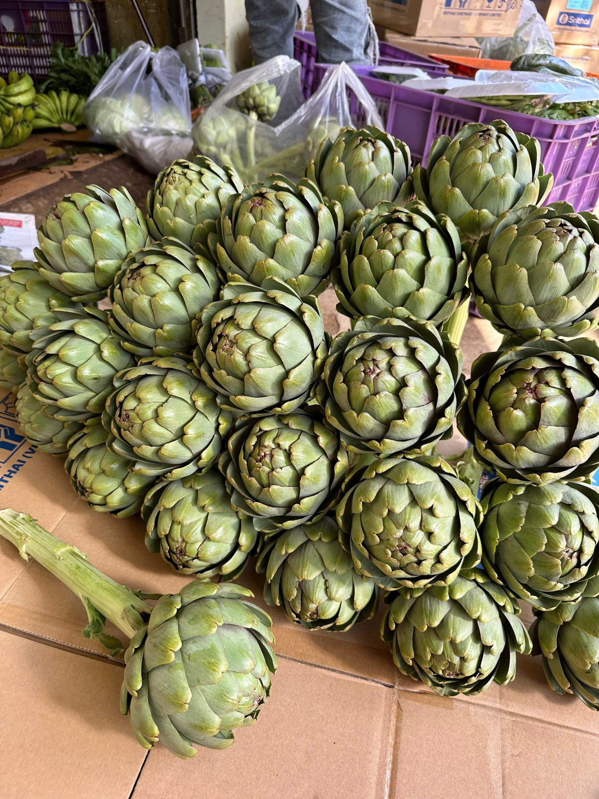 gia-si-atiso-dalat-tai-vuon