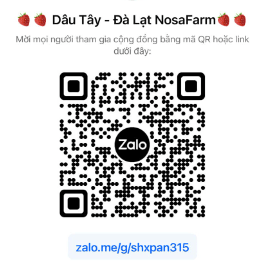 group sỉ dâu tây nhật đà lạt, cập nhật giá và hình ảnh dâu tây
