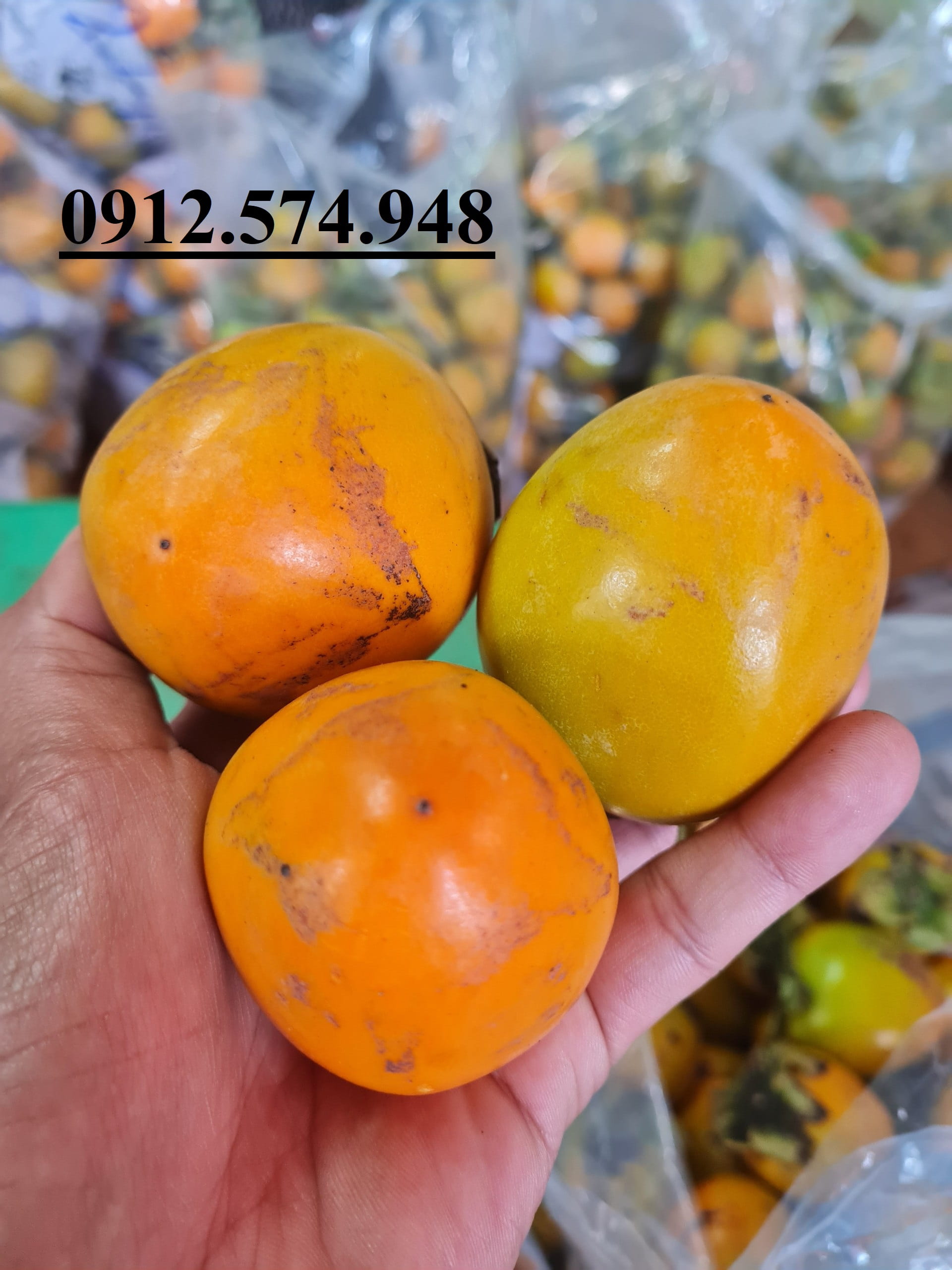 hồng lốc đà lạt có hạt giá sỉ hôm nay