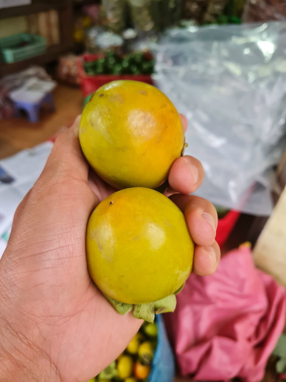 hồng giòn trứng không hạt giá sỉ hôm nay