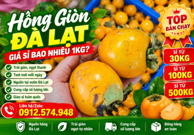 giá sỉ hồng giòn đà lạt bao nhiêu 1kg