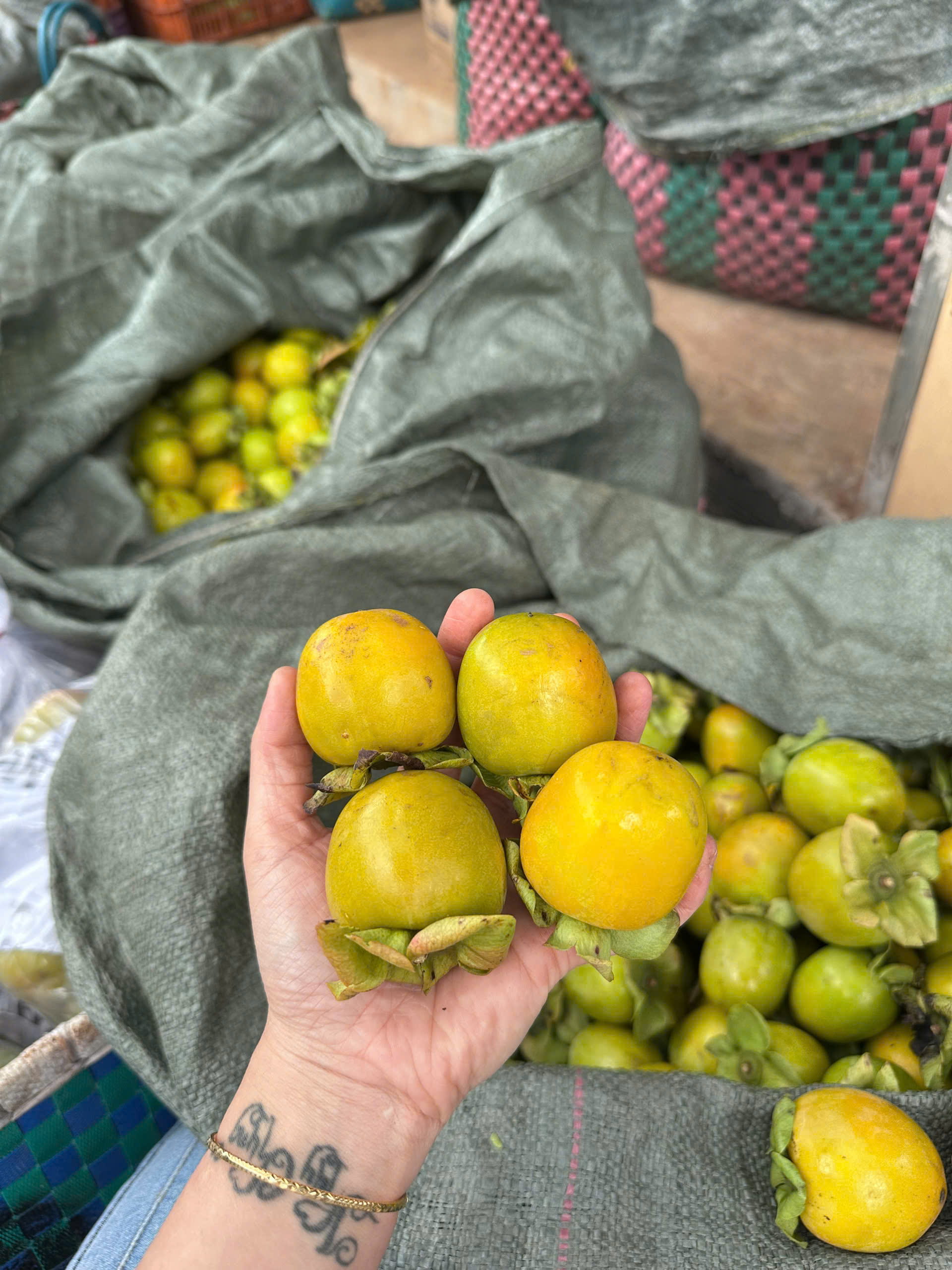 hồng trứng đà lạt sau khi thu hoạch
