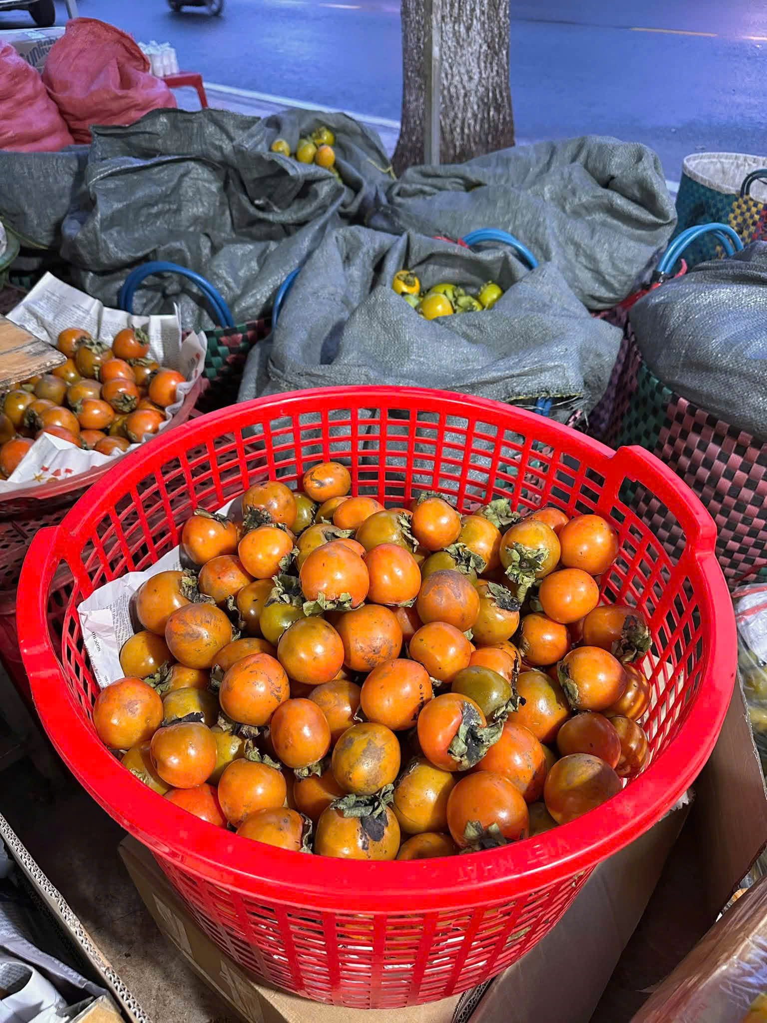 hồng trứng đà lạt ủ chín giá sỉ