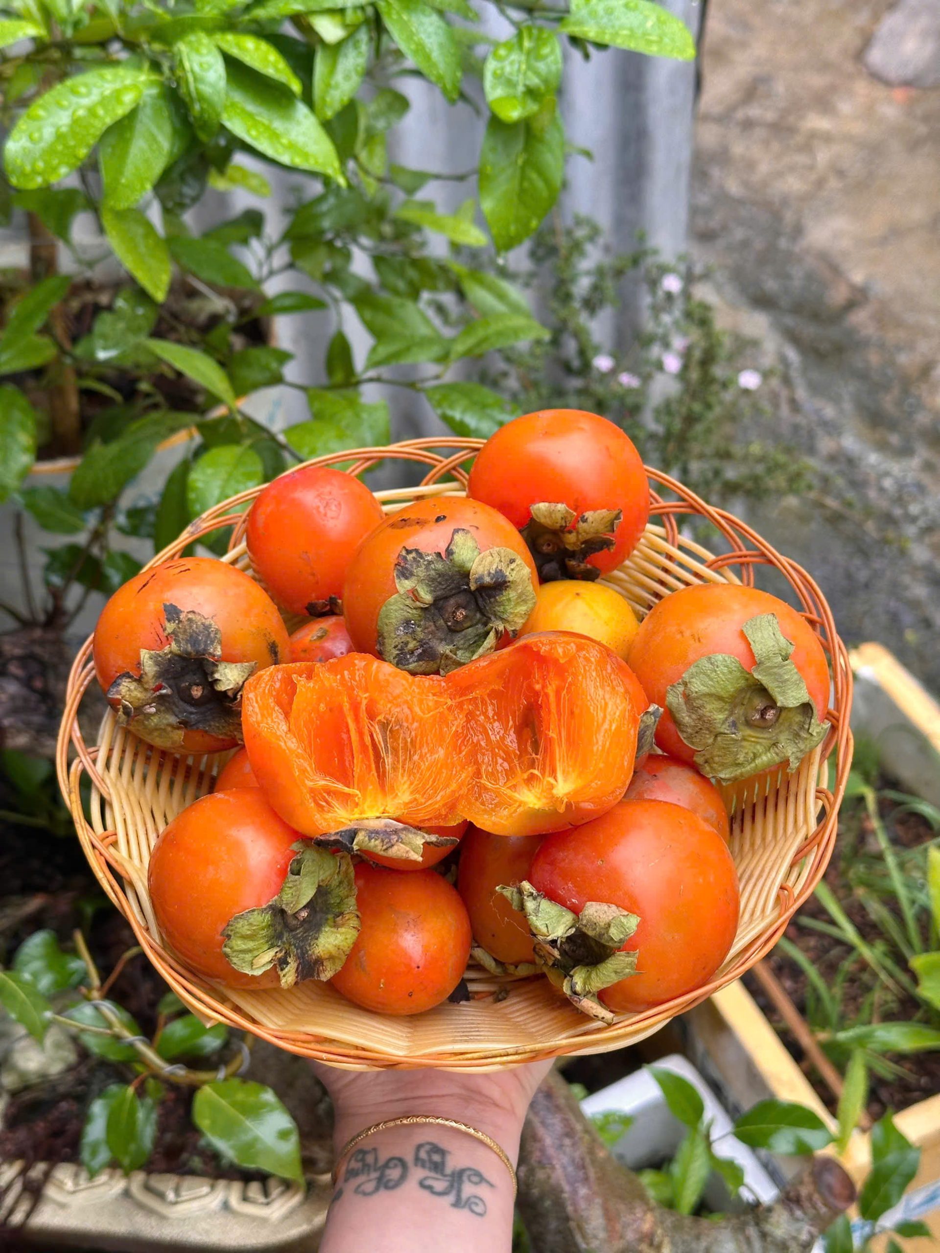 hồng ủ chín giá sỉ khi ăn