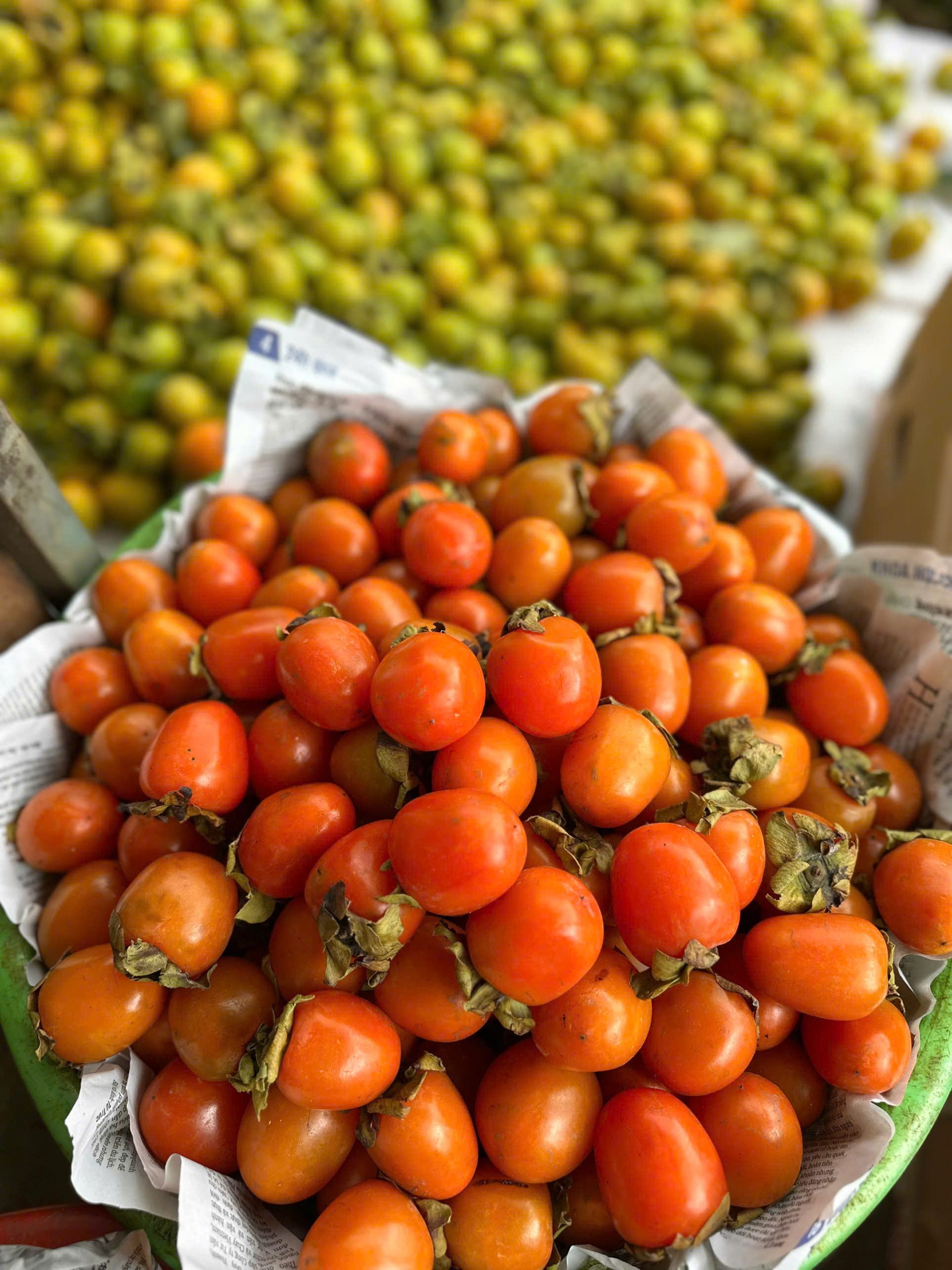 hồng ủ chín không hạt đà lạt
