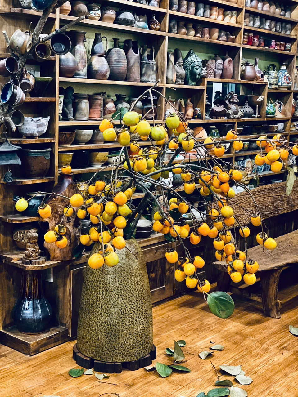 hồng đà lạt cắm bình giá sỉ