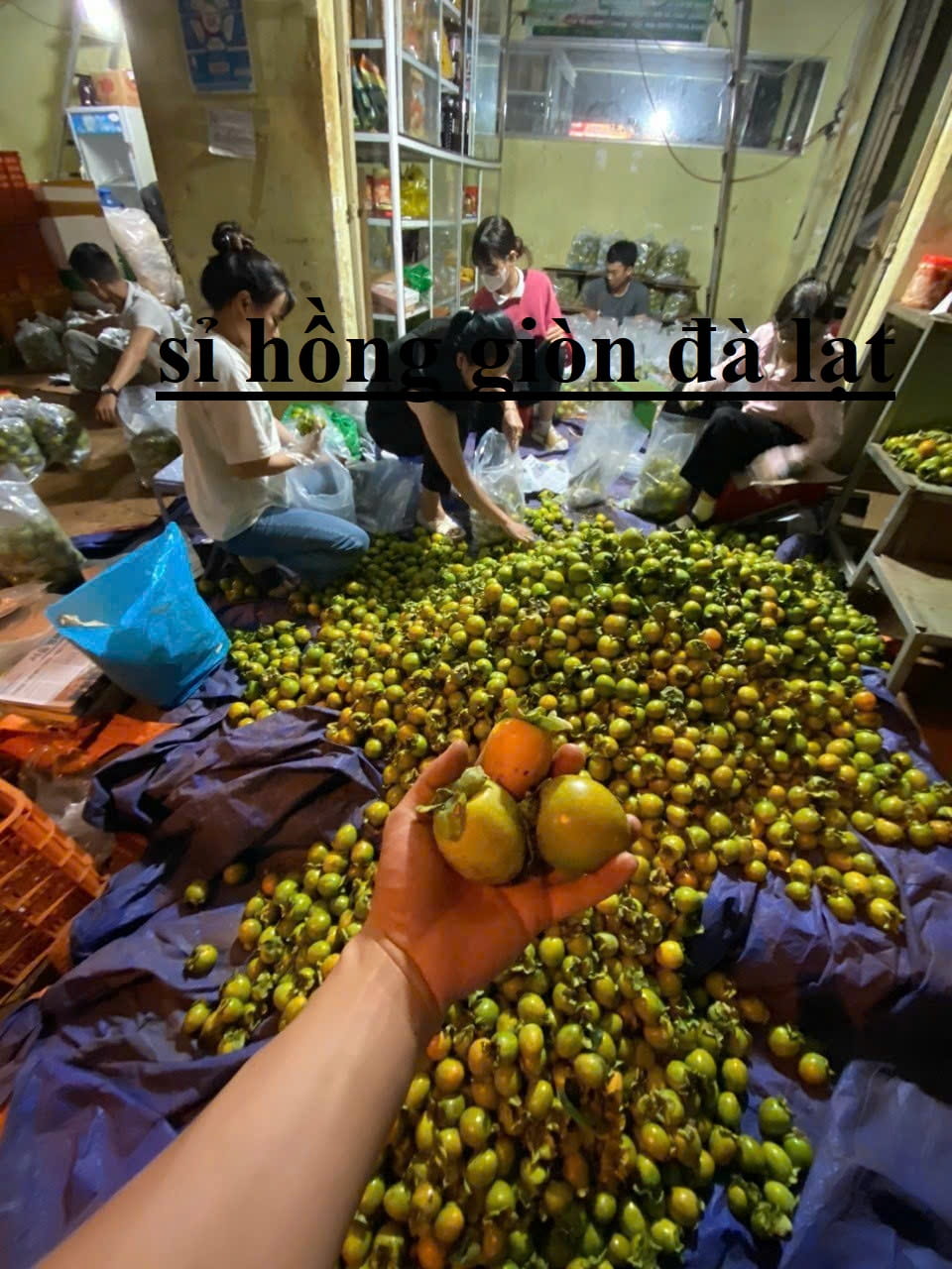 địa chỉ cung cấp sỉ hồng giòn tại đà lạt