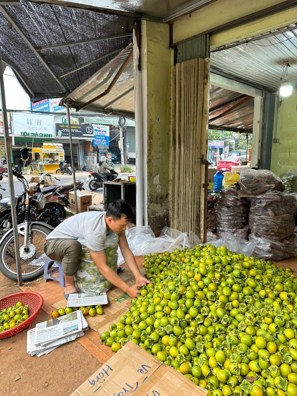 lựa chọn nguồn sỉ hồng giòn đà lạt để mua