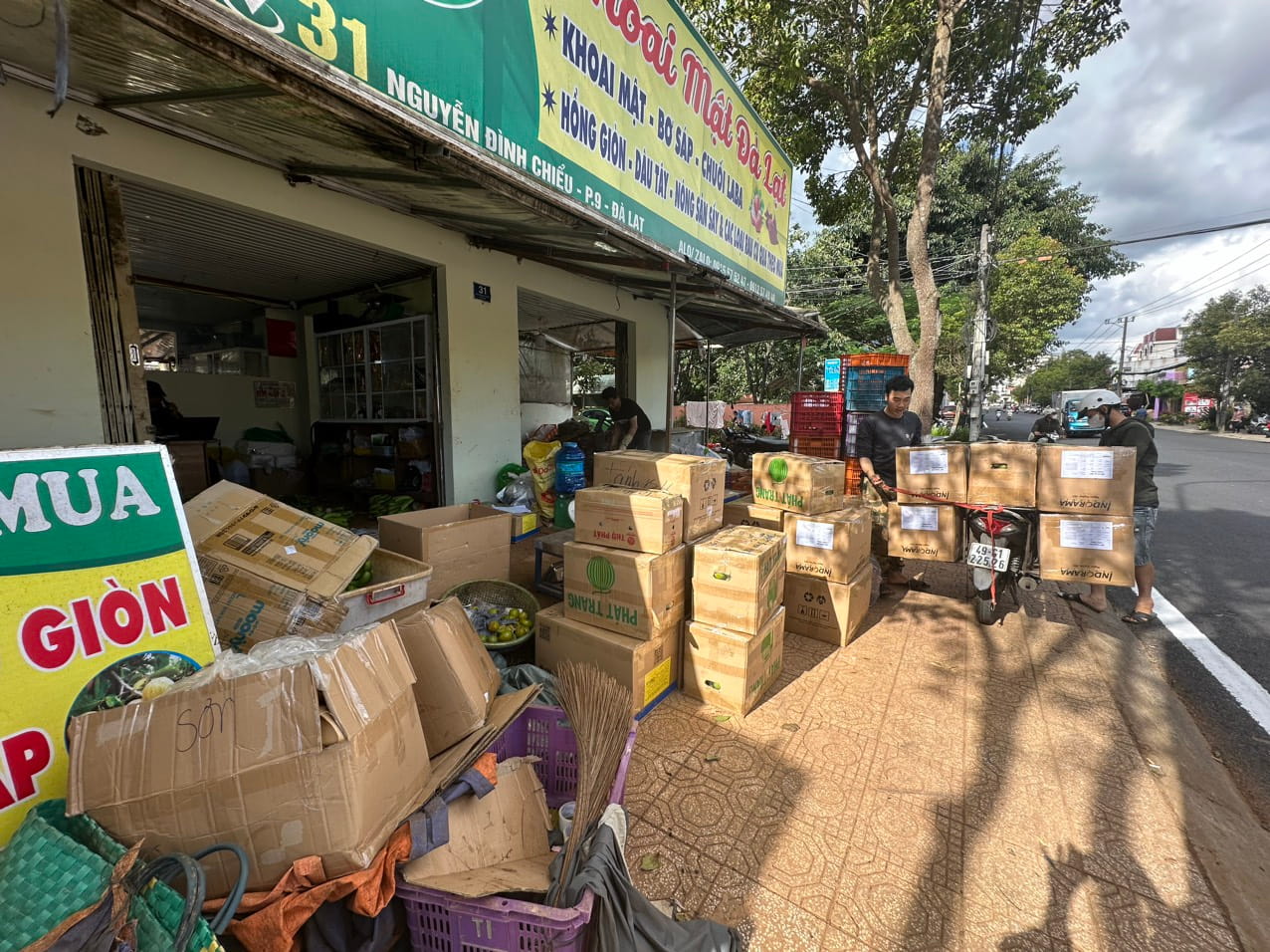 nguồn sỉ hồng giòn tại đà lạt