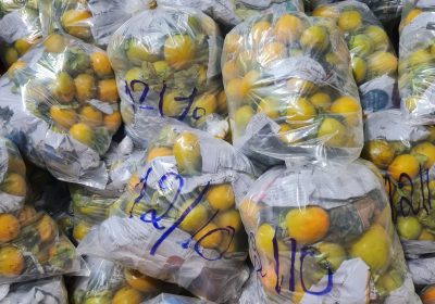 vựa hồng giòn đà lạt
