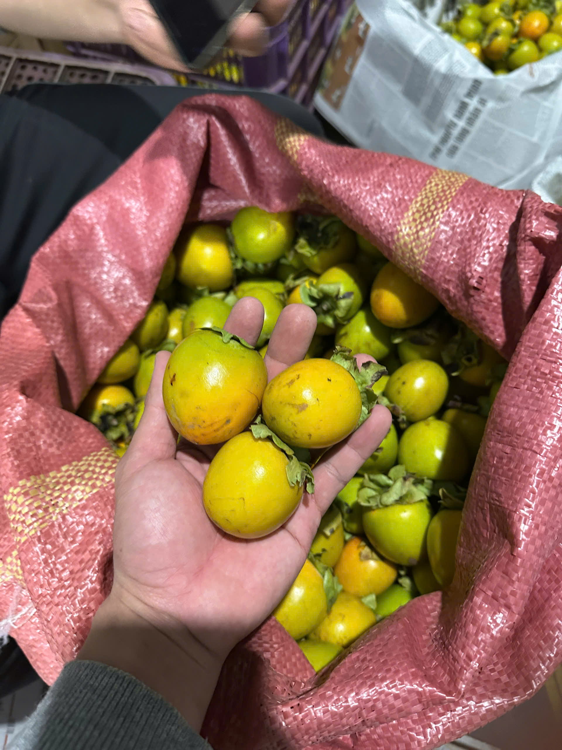 kinh nghiệm lấy sỉ hồng giòn từ đà lạt